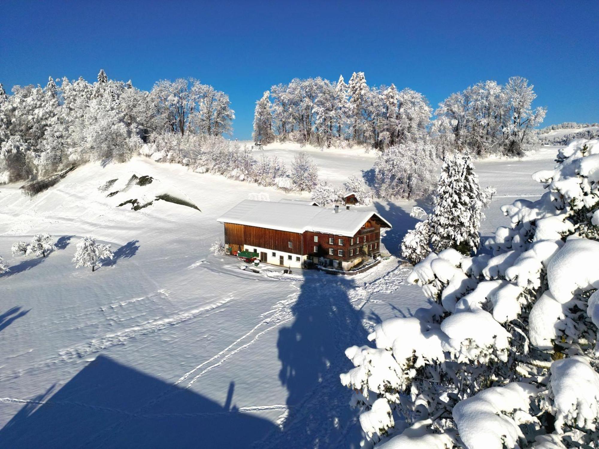 Bergoase Hohenegg Villa Lingenau Buitenkant foto