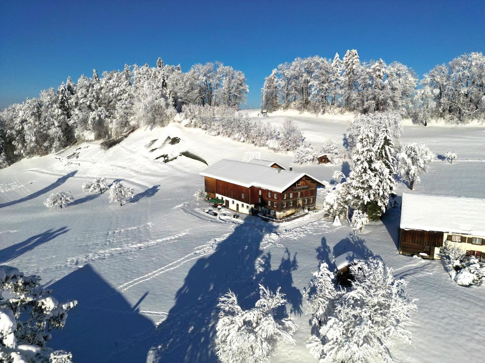 Bergoase Hohenegg Villa Lingenau Buitenkant foto